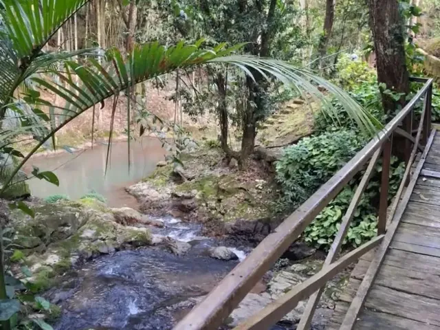 Imagem 8: Férias Andradas -Mg