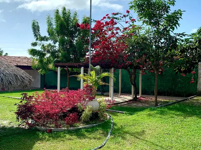 Imagem 4: Chácara Perfeita no Araçagy