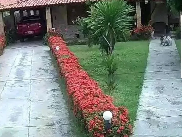Imagem 2: Aluguel -Área Externa- Pequenos Eventos