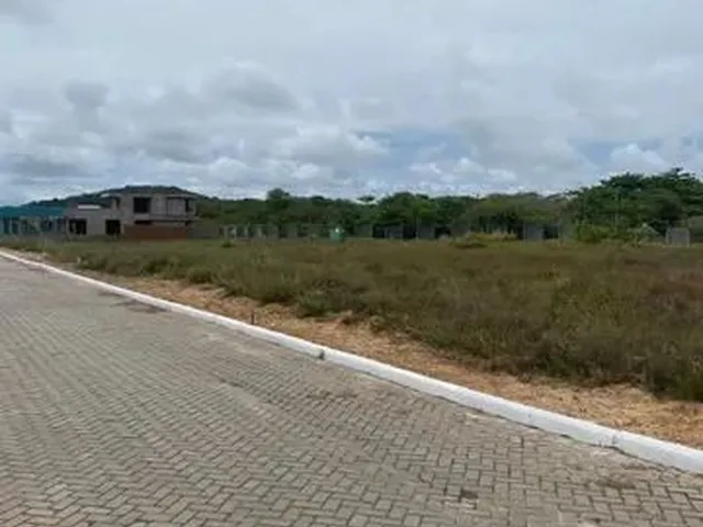 Imagem 14: Barra de São Miguel - Ouro Verde Praia