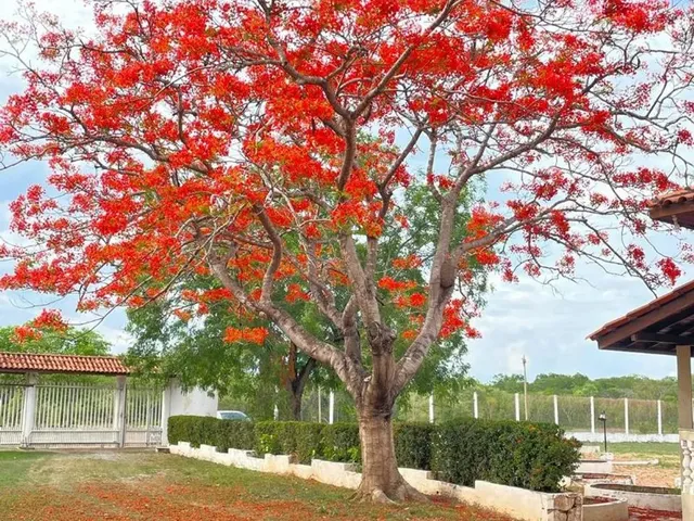 Imagem 1: Chacara Locação Eventos Evangelicos