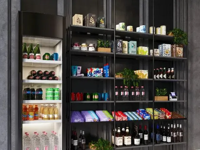 Imagem 14: Apartamento Novo de 2 Quartos- Geisel