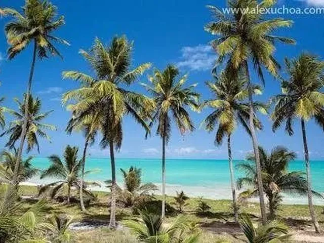 Imagem: Casa Praia Jacarecica Maceió com Piscina