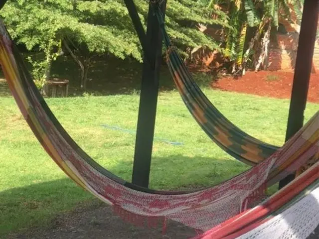Imagem 5: Alugo Chácara em Londrina para Festas e Eventos