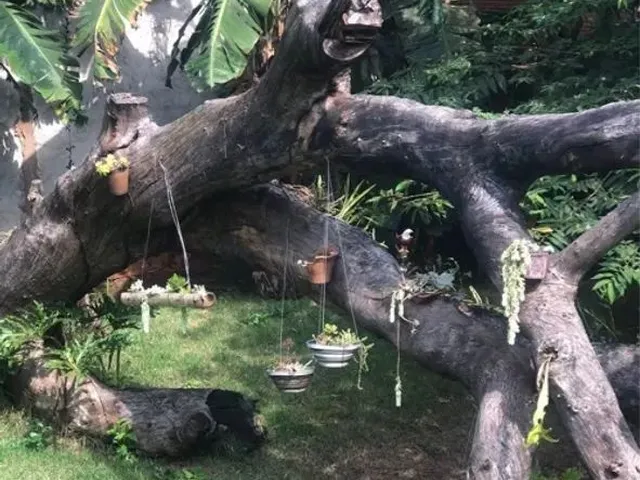 Imagem 11: Alugo Chácara em Londrina para Festas e Eventos