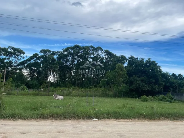 Imagem: Terreno à venda no bairro Campo Duna