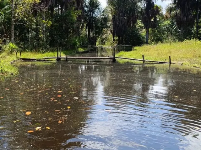 Imagem: Vende-Se Terreno com Igarapé
