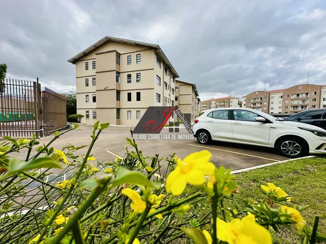 Imagem: Conjunto Habitacional Gralha Azul II - Apartamento