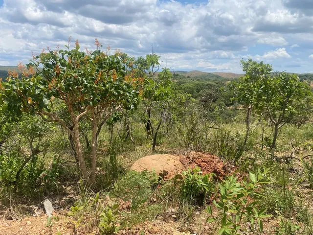 Imagem: Terreno Sítio Serra do Cipó 1000M2