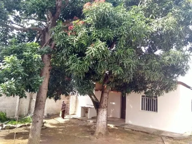 Imagem: Casa Próxima À Feira no Bairro Patagônia