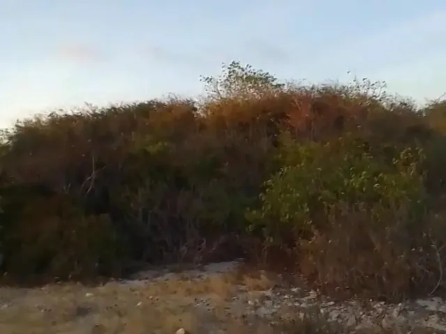 Imagem 2: Vendo Terreno Ma Praia do Batoque