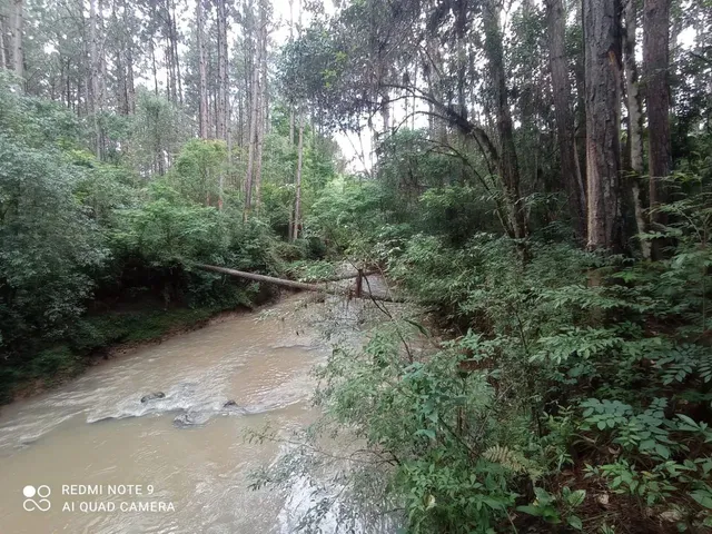 Imagem 2: Área para Chácara