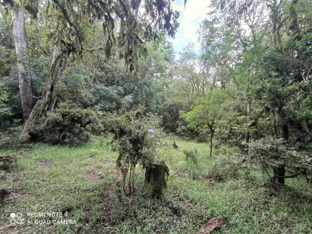 Imagem 3: Área para Chácara