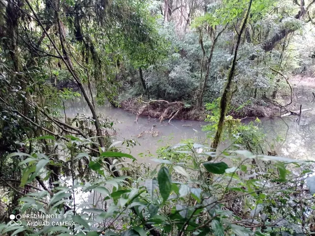 Imagem 4: Área para Chácara