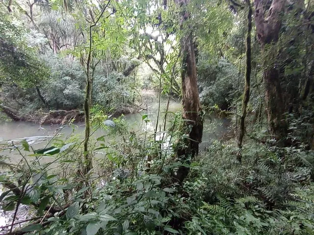 Imagem 7: Área para Chácara