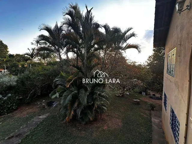Imagem 8: Sitio À Venda em Igarapé Bairro Batatal