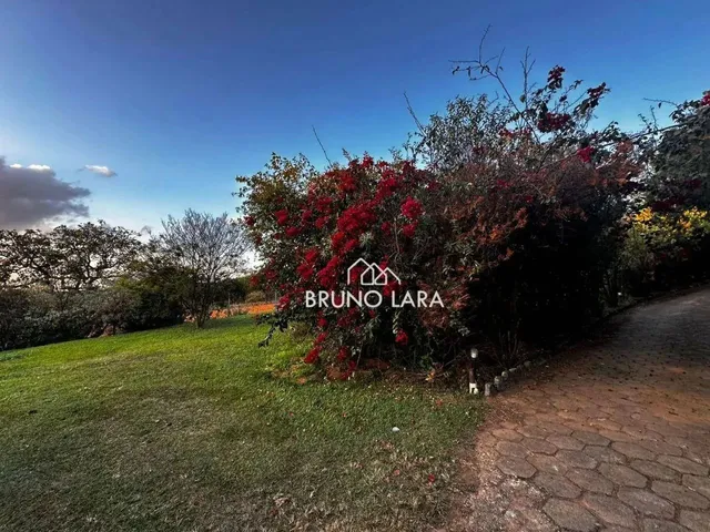 Imagem 7: Sitio À Venda em Igarapé Bairro Batatal