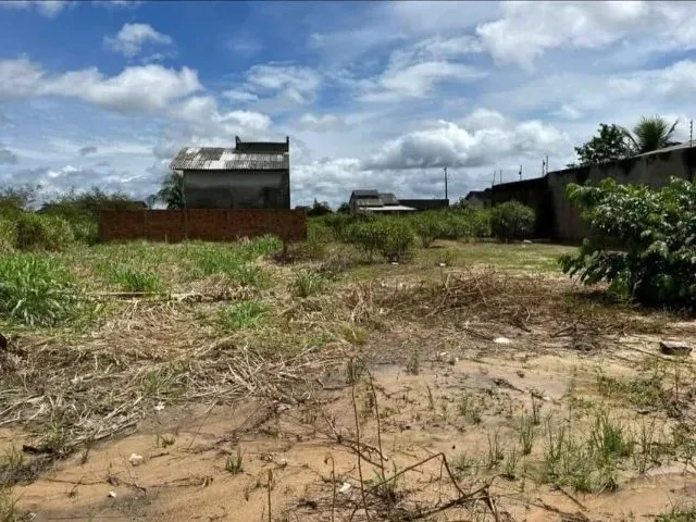 Imagem 3: Vendo Lote 12 X 30 Quitado com 360 M² Park Amazônia - Rorainópolis/ Murado nos Fundos