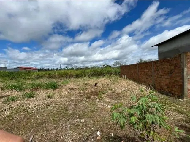 Imagem 2: Vendo Lote 12 X 30 Quitado com 360 M² Park Amazônia - Rorainópolis/ Murado nos Fundos