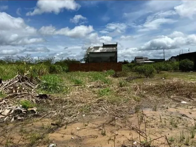 Imagem 4: Vendo Lote 12 X 30 Quitado com 360 M² Park Amazônia - Rorainópolis/ Murado nos Fundos