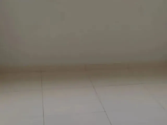 Imagem 8: Casa Sobrado Casa em condomínio com 3 dormitórios