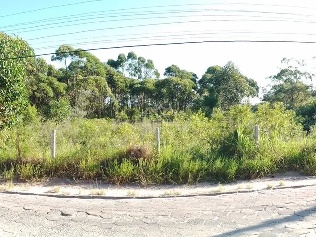 Imagem: Terreno à venda no bairro Ibiraquera