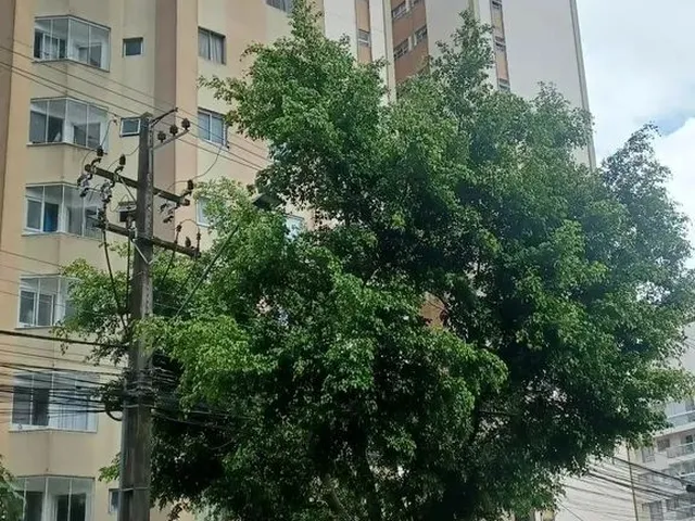 Imagem: Apto 2 Quartos, no Bairro Cristo Rei