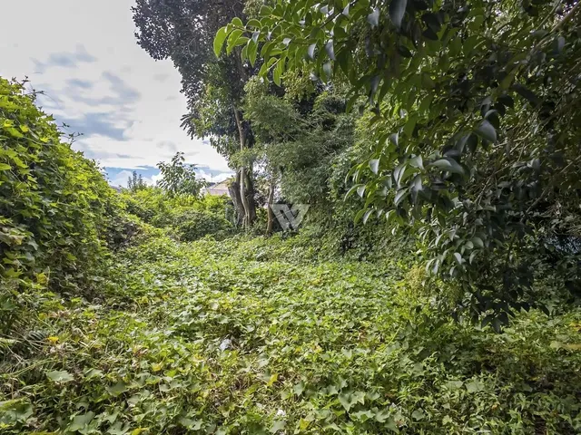 Imagem: Terreno 474 M² Abranches