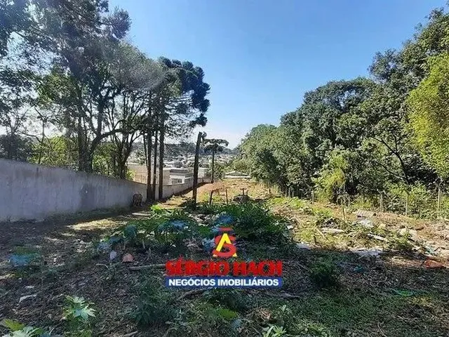 Imagem 4: Terreno com 5.700,00 M² em Curitiba