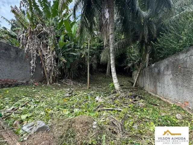 Imagem 7: Casa À Venda em Rua Pública, Cidade Nova , Ilhéus, Ba