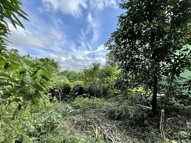 Imagem: Lote 907,00 M² - Bolsão Fechado no Miolo