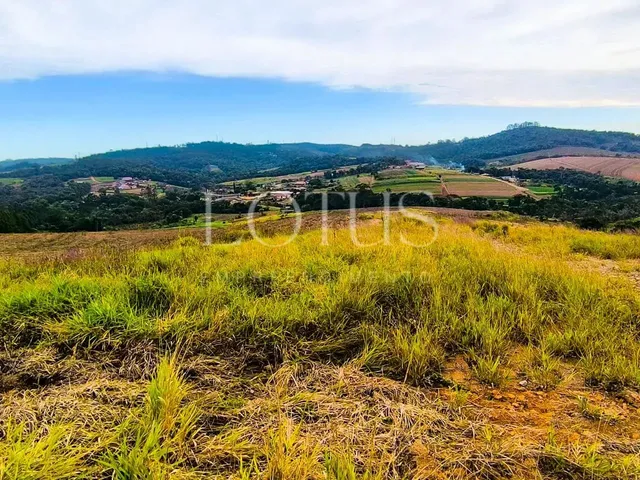 Imagem: Invista em Terrenos em Cotia com Facilidade!