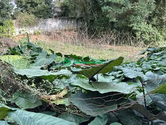 Imagem: Jardim santa Paula