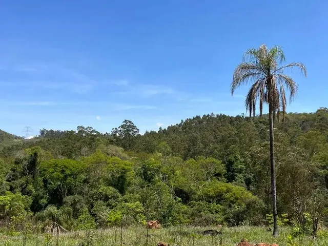 Imagem: 600M² de Liberdade em Mairiporã Entrada