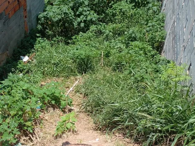 Imagem: O terreno possui 125m² de Área e está localizado em