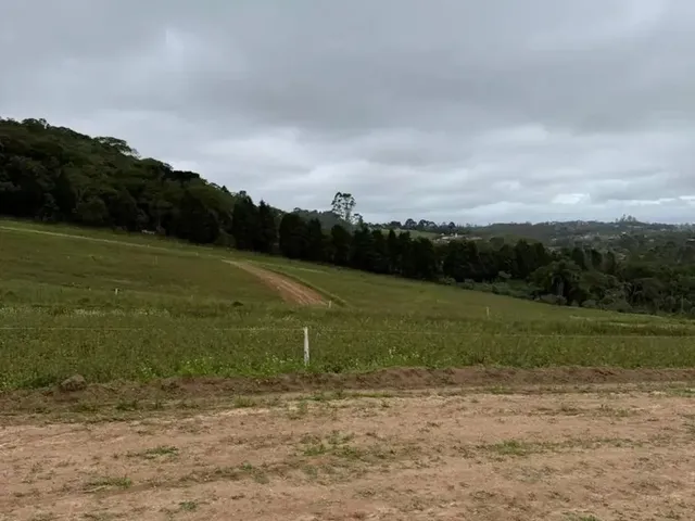 Imagem: Sua Visita Vale Ouro Garanta o Preço Promocional!