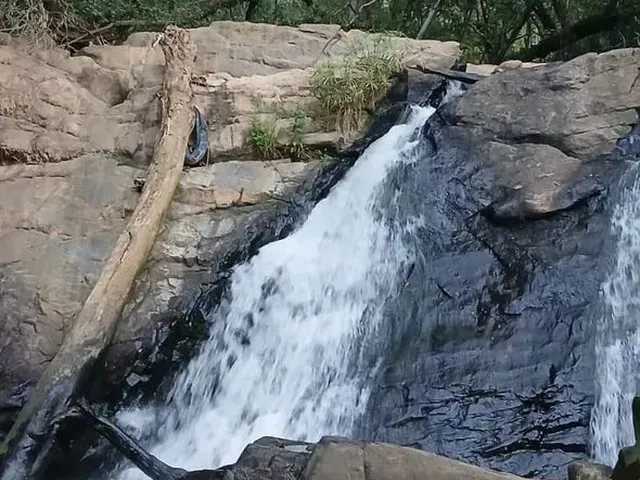Imagem: Ds(Terreno Rodeado pelo Verde!!