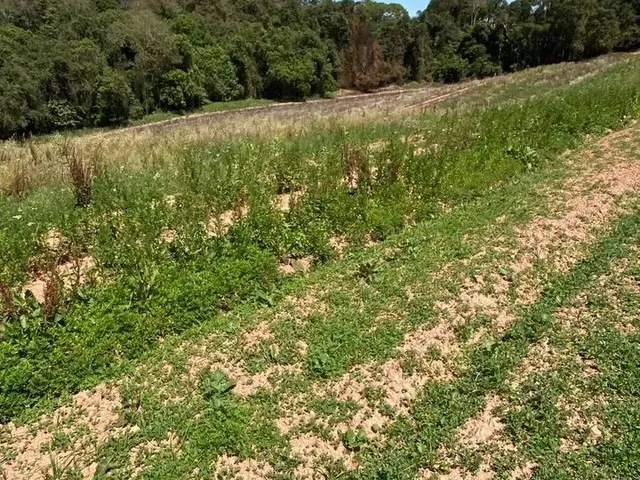 Imagem 3: Terreno em Ibiúna-Sp, 18Min do Centro de Ibiúna