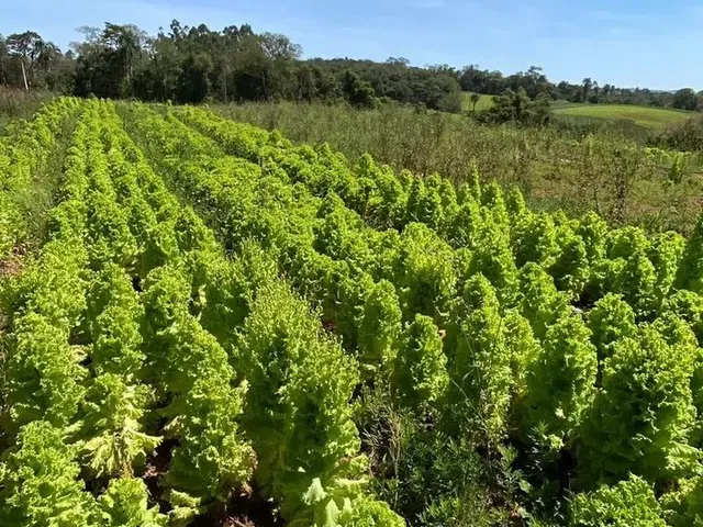 Imagem 4: Terreno em Ibiúna-Sp, 18Min do Centro de Ibiúna
