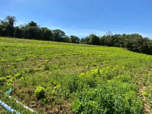 Imagem 5: Terreno em Ibiúna-Sp, 18Min do Centro de Ibiúna