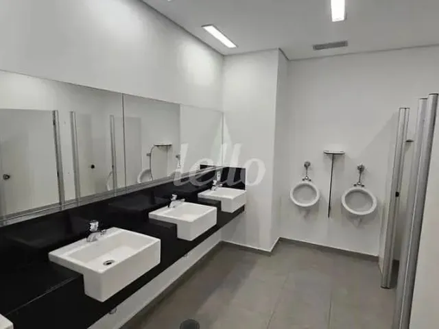 Imagem: Comercial para Alugar No(A) Lapa de Baixo