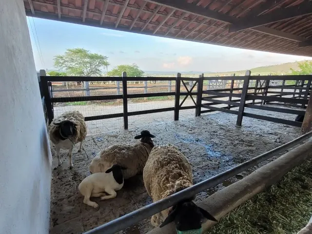 Imagem 13: Descanso e Lazer na Fazenda! Monte Castelo