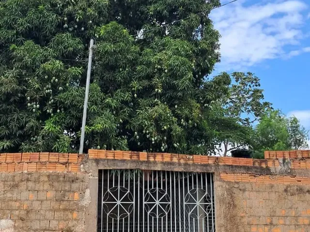 Imagem: Aluga-Se Casa no Bairro Novo Paraiso 2