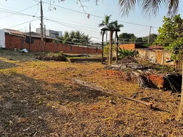 Imagem: Imóvel para Aluguel e Venda Tem 128214