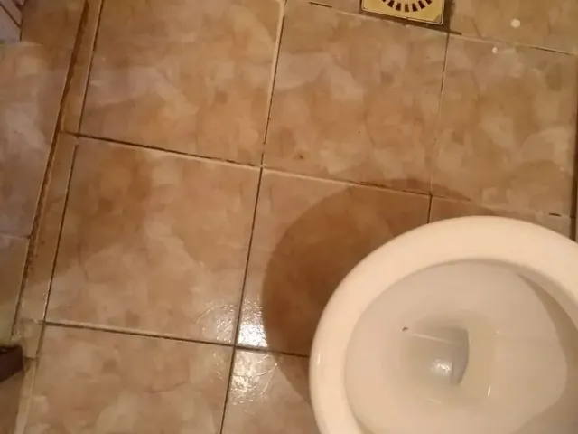 Imagem 15: Kitnet em Ótima Localidade