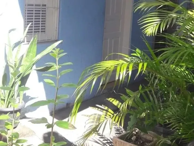 Imagem: Quitinete de Quarto e Banheiro na Aldeota