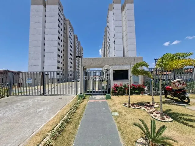 Imagem: Locação de Apartamentos / Padrão na Cidade