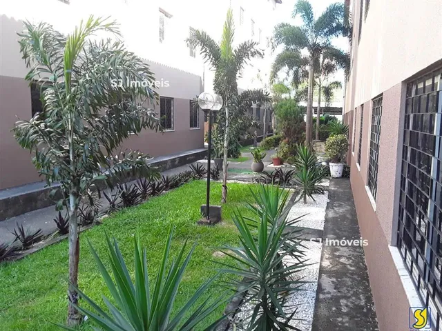 Imagem 5: Apartamento Compacto com 2 Quartos em Condomínio na Serrinha
