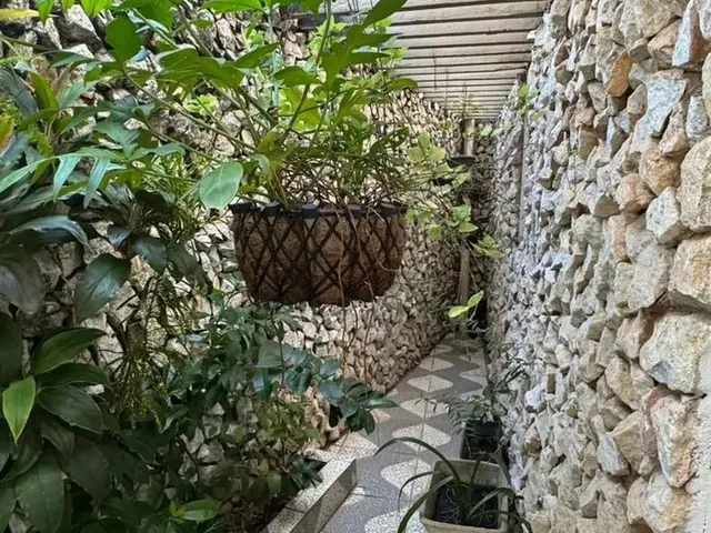 Imagem 13: Imóvel para Venda com 397 Metros Quadrados com 3 Quartos em Cohafuma - São Luís - Ma