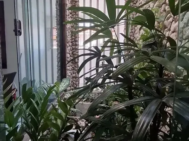 Imagem 4: Casa Solta no Bairro Cohaserma